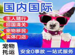 淮安涟水空运代理国际宠物托运 【国